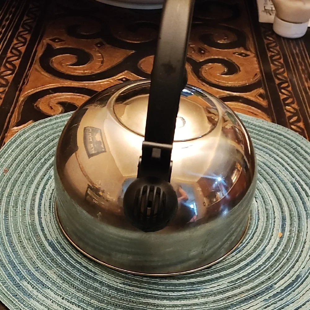 Stainless Steel Kettle and Paper Towel Holder Set